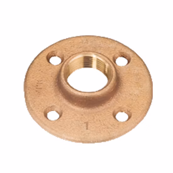 Densen Customized Copper Brass Forging Flange, Forged Plate Flange, Forged Titanium Flange or Flange Nut or Pipe Fittings Flange